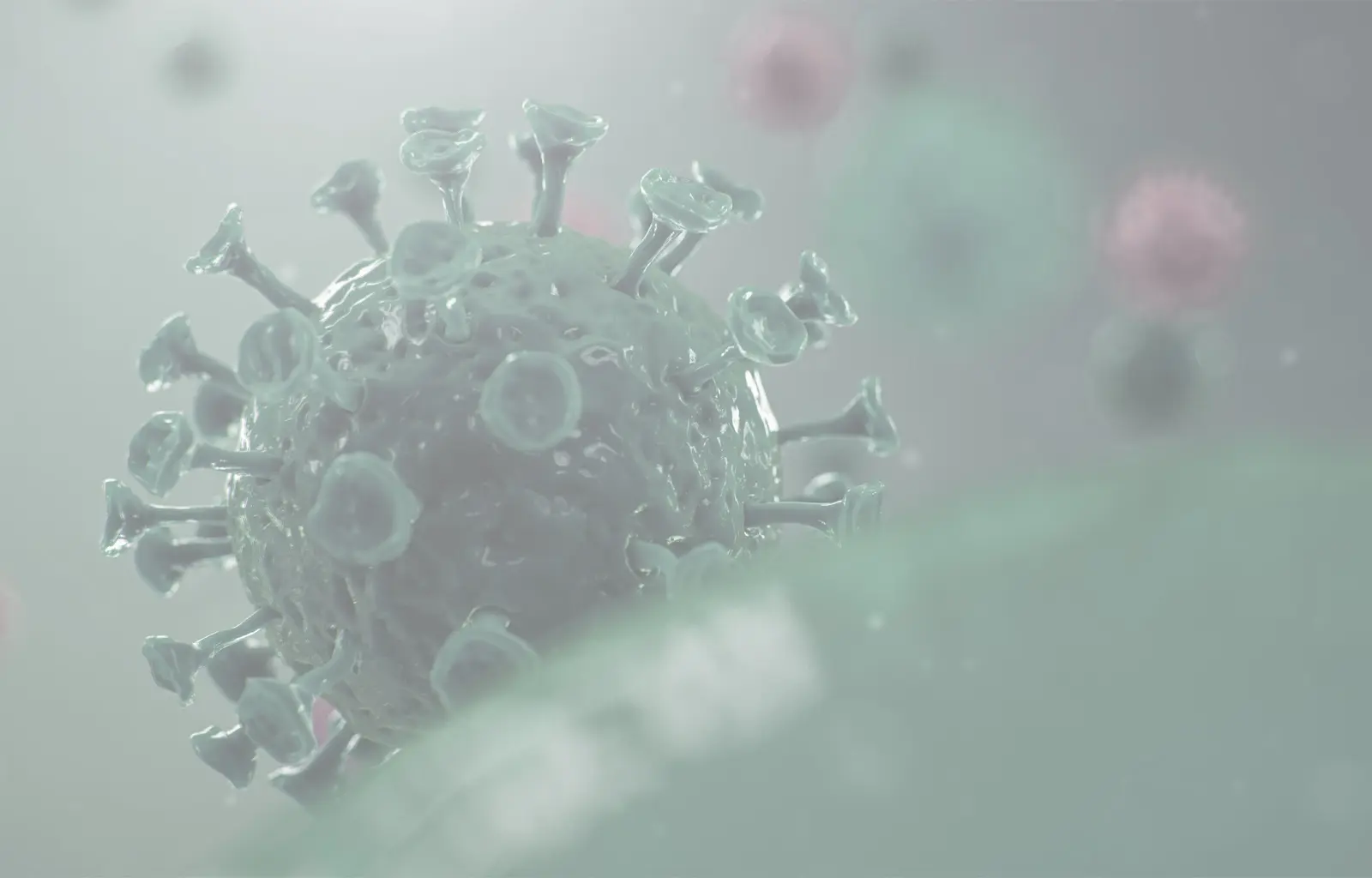 Informationen zum Corona-Virus
