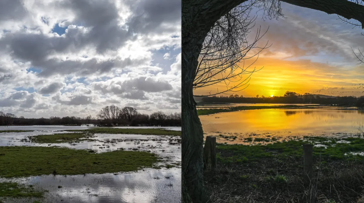 Die Feuchtwiesen im Kuhlenvenn sind überschwemmt (Februar 2022) fotografiert von HG
