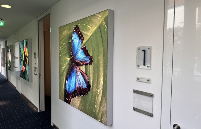Leuchtbild Fruehling - Frischer Wind in der Augenklinik Ahaus | Neue Leuchtbilder - Augenärzte Gerl & Kollegen