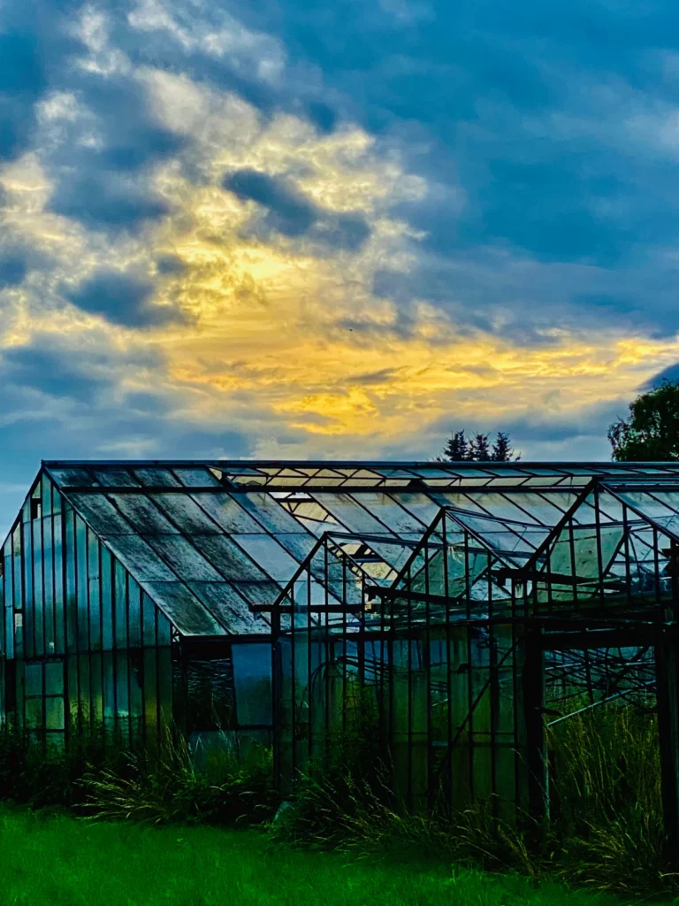 verfallenes Gewächshaus