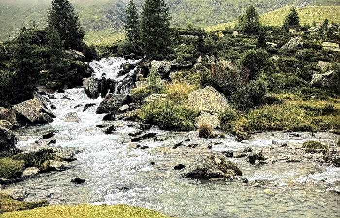 Station 2 - Bergbach im Nebel - Augenärzte Gerl & Kollegen