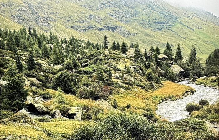 Station 3 - Abseits der Wege - Augenärzte Gerl & Kollegen