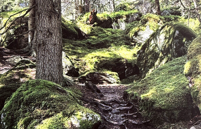 1 1 - Leuchtbilder - Augenärzte Gerl & Kollegen