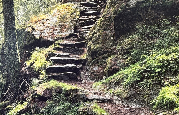 3 - Leuchtbilder - Augenärzte Gerl & Kollegen