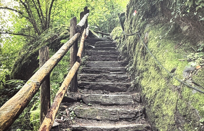 4 - Leuchtbilder - Augenärzte Gerl & Kollegen