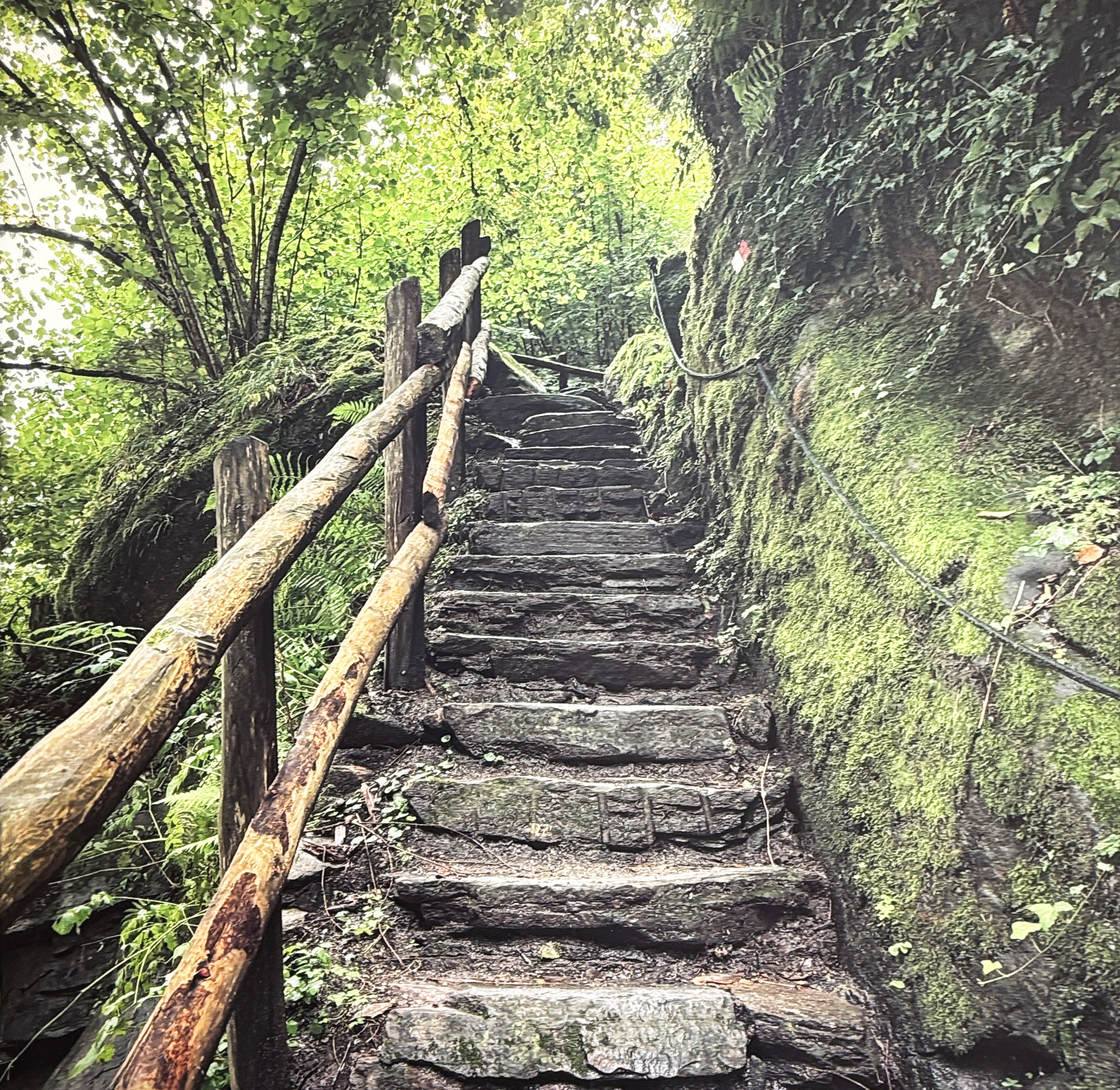 4 - Stufe für Stufe ins Licht - Augenärzte Gerl & Kollegen